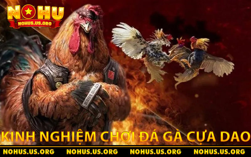 Đá Gà Cựa Dao - Hình THức Cá Cược Trực Tuyến Đỉnh Cao 3 Kinh nghiệm chơi đá gà cựa dao dễ thắng tại NOHU